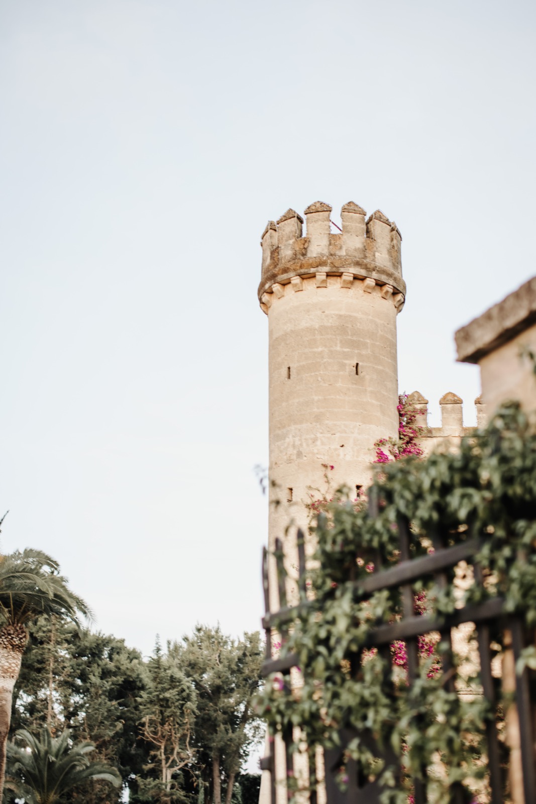 Dettaglio matrimonio